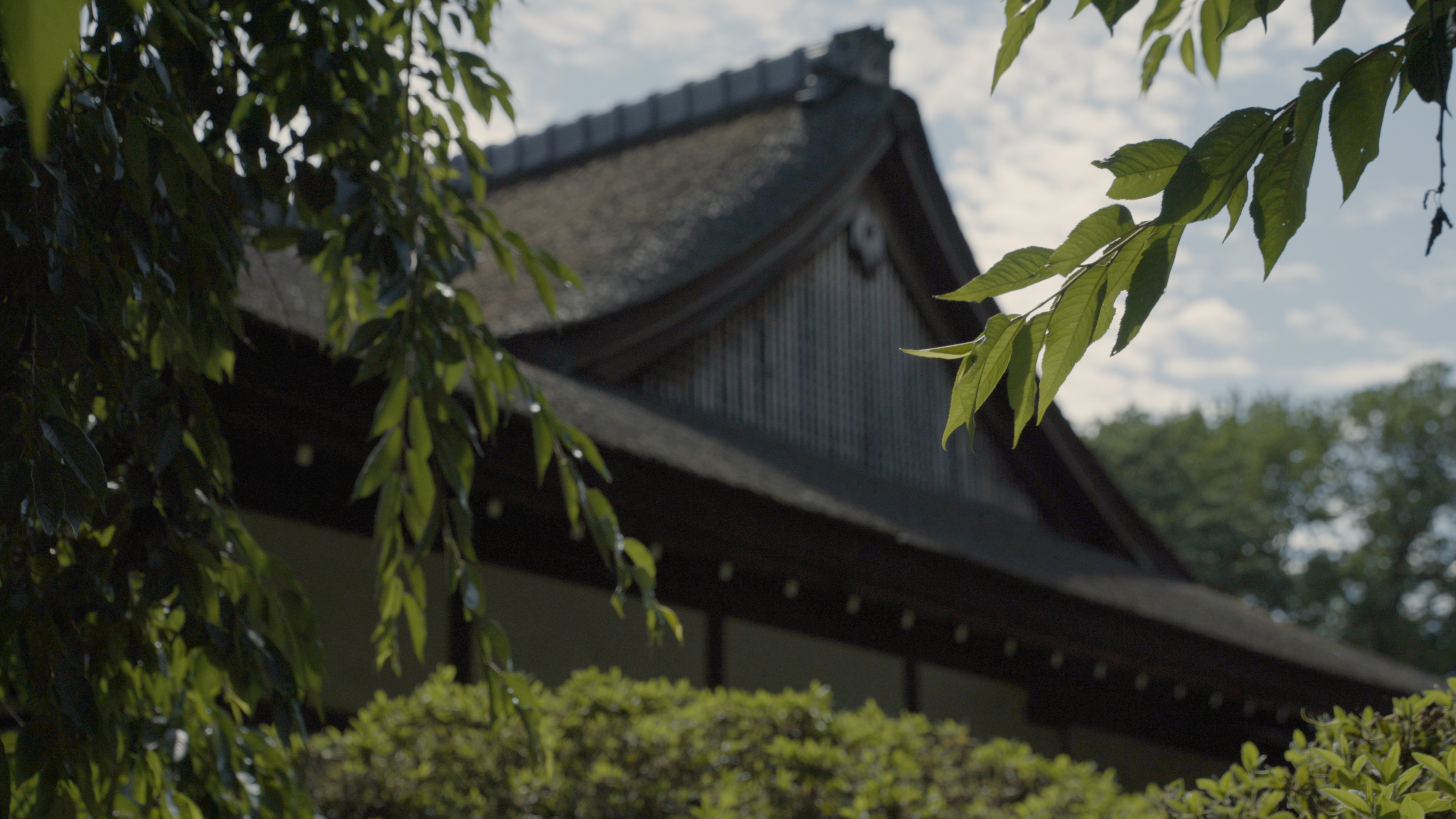 Detail of Shofuso’s roof, seen through trees in the surrounding garden